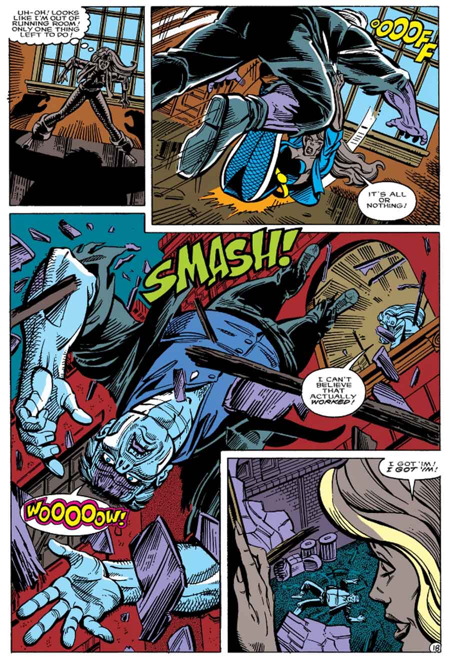 Justice Society of America #2 (May 1991) by Len Strazewski and Grant Miehm Justice Society of America #2 (May 1991) by Len Strazewski and Grant Miehm